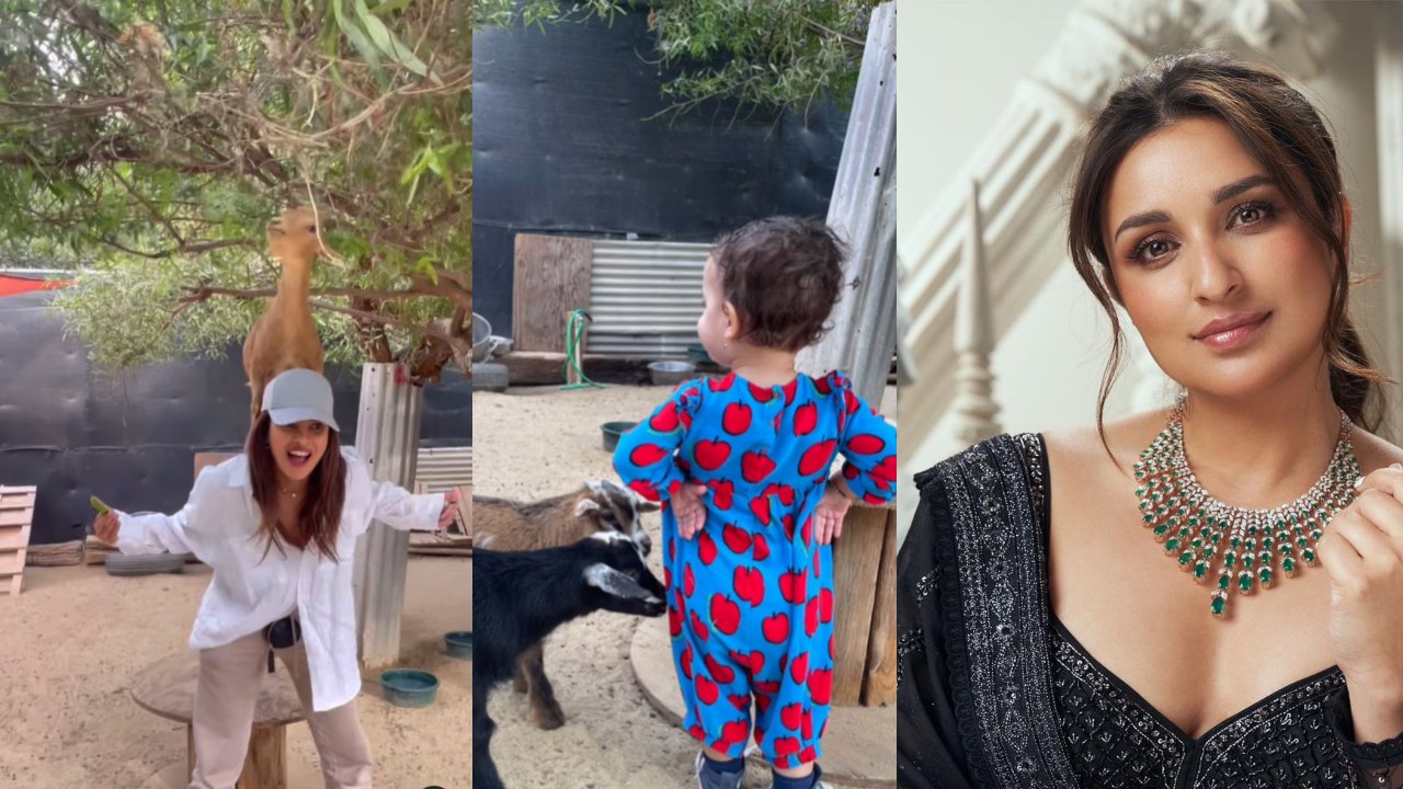 बेटी मालती मैरी के साथ खेत में मौज-मस्ती करते हुए प्रियंका चोपड़ा ने परिणीति चोपड़ा को शादी की दी ढेरों शुभकामनाएं