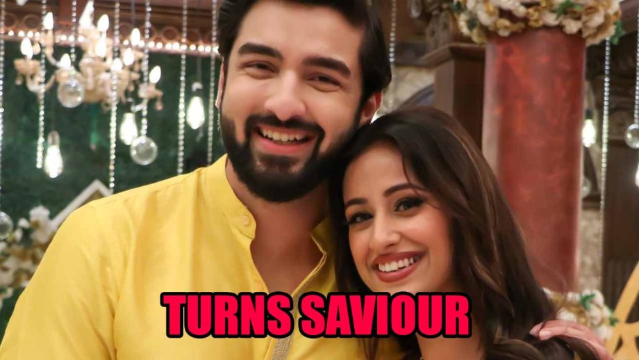 Bhagya Lakshmi Spoiler: ऋषि ने मलिष्का की बहुत बड़ी मदद