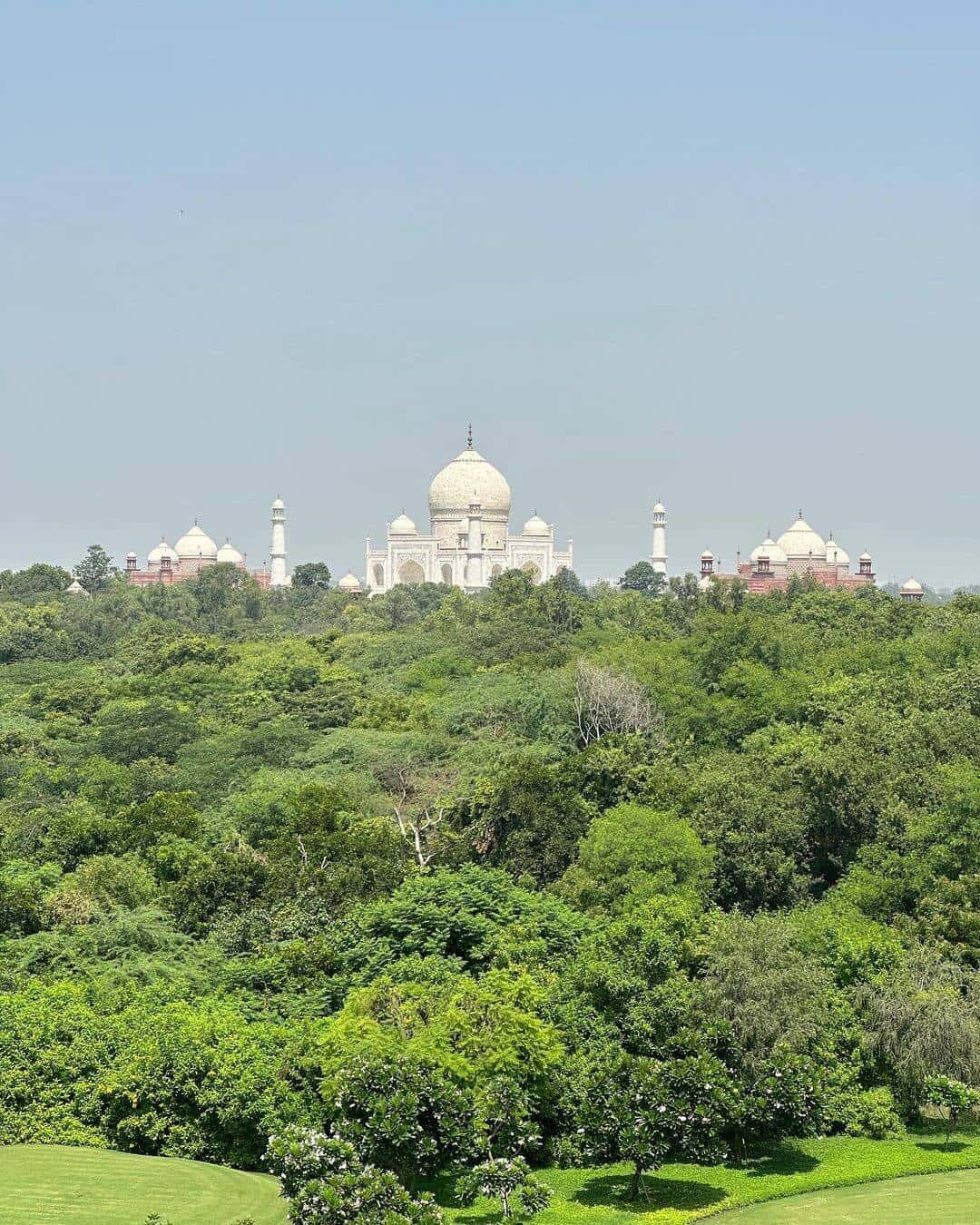 आगरा पहुंची बॉलीवुड सुंदरी मलाइका अरोड़ा, ताजमहल के साथ दिया दमदार पोज 26958