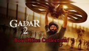सिनेमाघरों में Gadar 2 का दबदबा कायम, 500 करोड़ का आंकड़ा पार