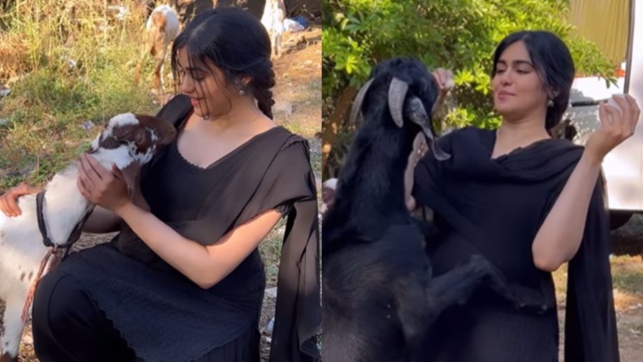 सच्ची पशु प्रेमी है ‘द केरला स्टोरी’ फेम अदा शर्मा, देखें सबूत सच्ची पशु प्रेमी है ‘द केरला स्टोरी’ फेम अदा शर्मा, देखें सबूत