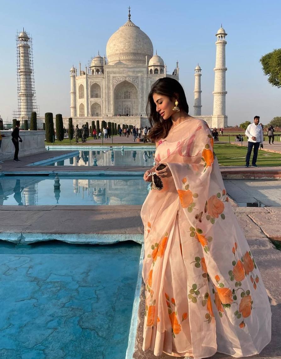 ऑर्गेंजा साड़ी में दिखा अंकिता लोखंडे, रूबीना दिलैक और मौनी रॉय का ग्लैमरस अवतार 31339