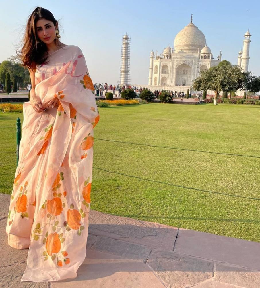 ऑर्गेंजा साड़ी में दिखा अंकिता लोखंडे, रूबीना दिलैक और मौनी रॉय का ग्लैमरस अवतार 31338
