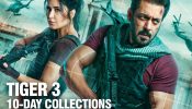 सलमान खान की 'टाइगर 3' बनी अब तक की सबसे बड़ी दिवाली हिट, कमाई के मामले में प्रेम रतन धन पायो और कृष 3 को भी छोड़ा पीछे