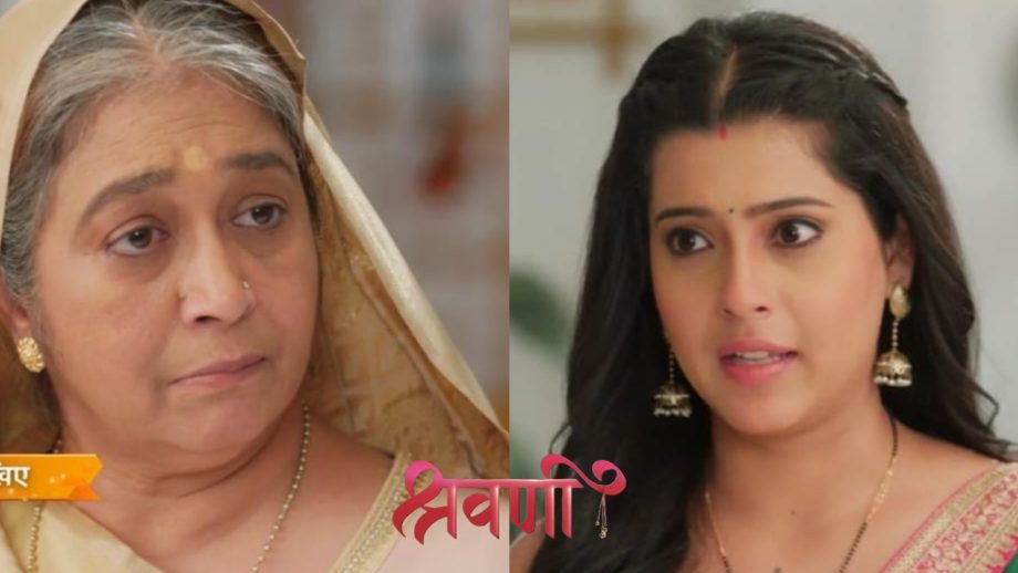 Shravani Full Episode: अम्मा की ज़िद के आगे श्रवणी ने टेके घुटने, घर में किलकारियां गुजवाने का किया फैसला Shravani Full Episode: अम्मा की ज़िद के आगे श्रवणी ने टेके घुटने, घर में किलकारियां गुजवाने का किया फैसला