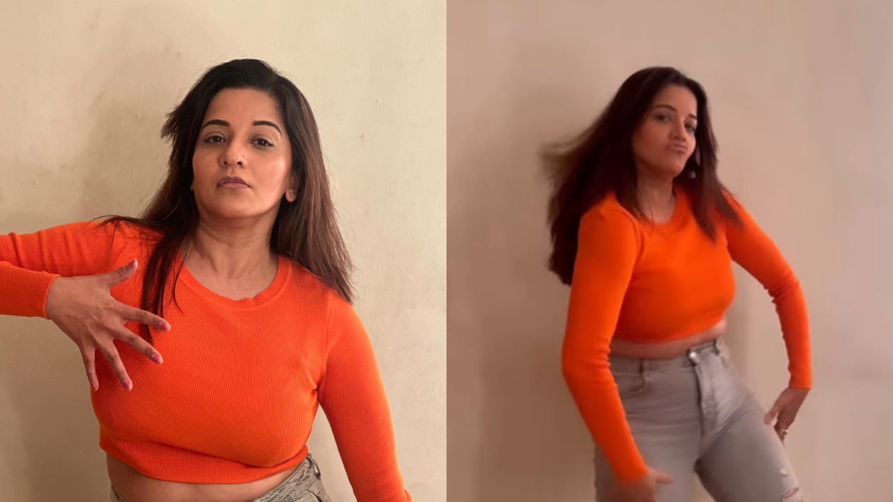 फाइटर फिल्म के गाने पर जमकर थिरकी मोनालिसा, देखे गजब का डांस वीडियो