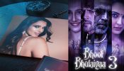 Bhool Bhulaiyaa 3 में Kartik Aryan के साथ नजर आएंगी एनिमल अभिनेत्री Triptii Dimri