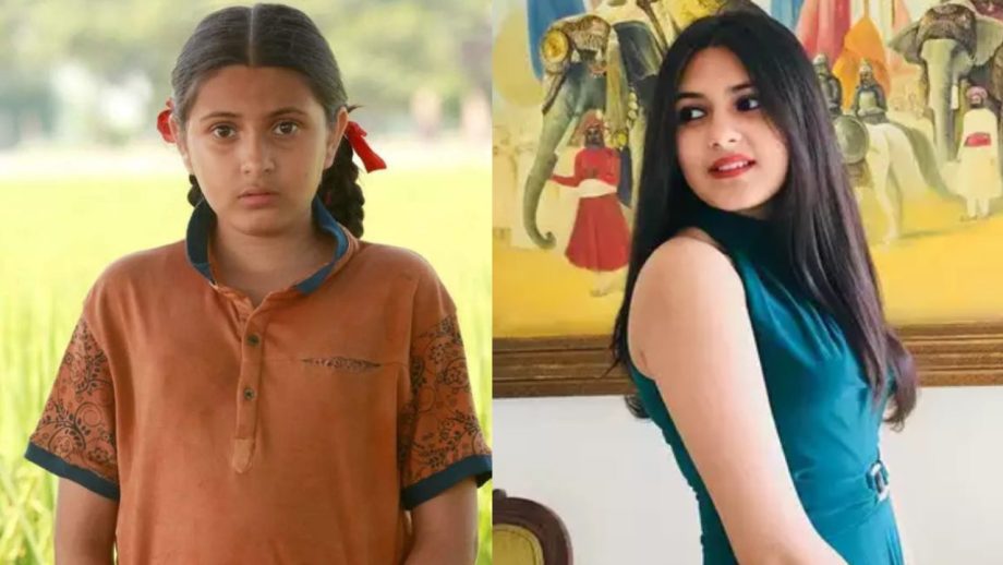 नहीं रहीं दंगल अभिनेत्री सुहानी भटनागर, 19 साल की उम्र में ली अंतिम सांस