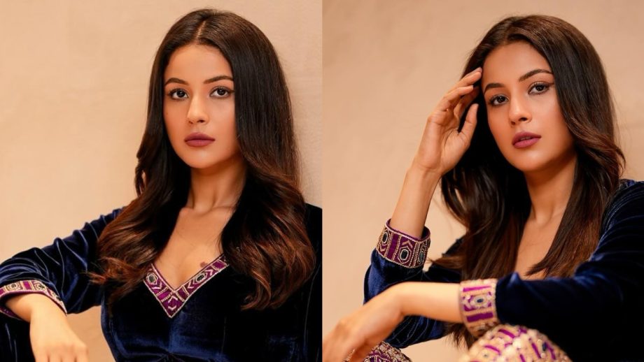 सिंपल कुर्ती में शहनाज़ गिल ने दिखाया कातिलाना अंदाज