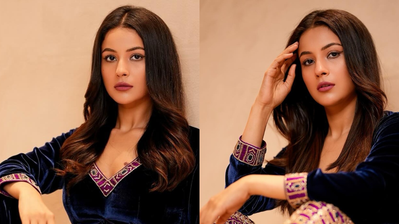 सिंपल कुर्ती में शहनाज़ गिल ने दिखाया कातिलाना अंदाज