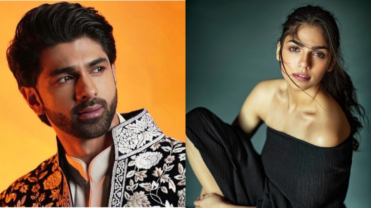 ताहा शाह बदुशा ने फिर किया अपनी “हीरामंडी” को-स्टार शरमीन सहगल का बचाव!