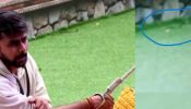 BBOTT3: बिग बॉस कंटेस्टेट लवकेश कटारिया के पास घूमता दिखा सांप? फैंस ने उठाए सेफ्टी प्रोटोकॉल पर सवाल