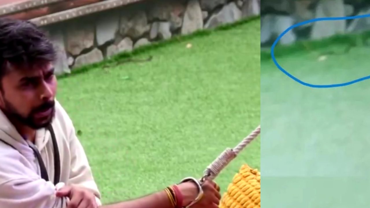 BBOTT3: बिग बॉस कंटेस्टेट लवकेश कटारिया के पास घूमता दिखा सांप? फैंस ने उठाए सेफ्टी प्रोटोकॉल पर सवाल