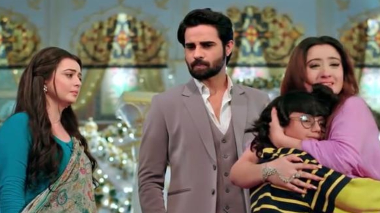 Nath Krishna Aur Gauri Ki Kahani Upcoming: कृष्णा का प्लान फेल! गौरी चली नई चाल