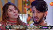 कुंडली भाग्य सीरियल स्पॉइलर: राजवीर और पालकी करीब आए, शौर्य को जलन हुई
