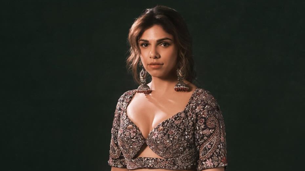 ‘हीरामंडी’ फेम शर्मिन सहगल प्रेग्नेंट हैं