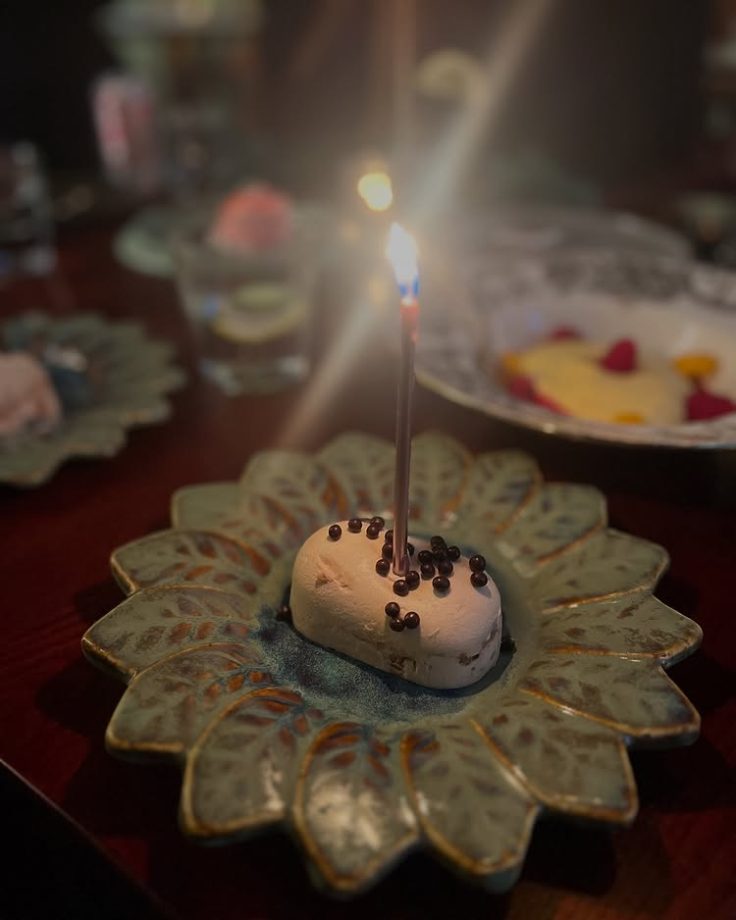 मानुषी छिल्लर का जन्मदिन समारोह 33 घंटे और 30 मिनट तक चला; पोस्ट देखें 57499