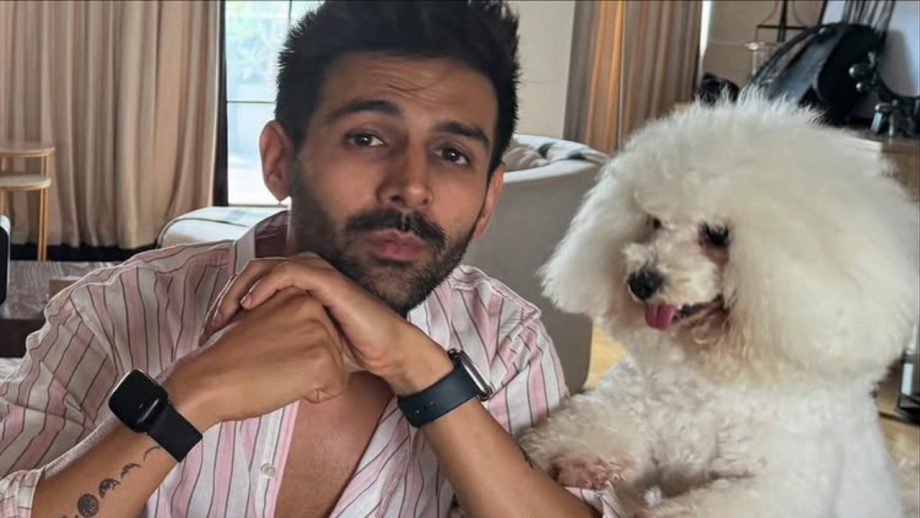 खुशी का स्वाद: कार्तिक आर्यन का इंस्टाग्राम डिलाईट