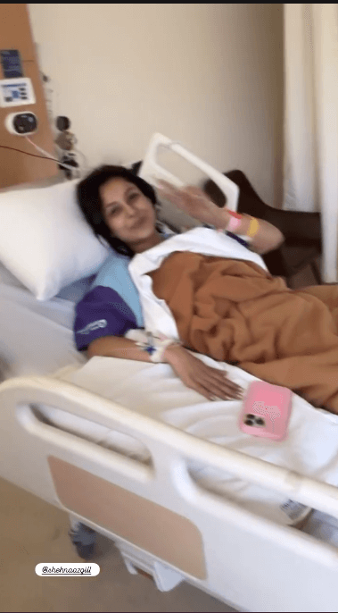अभिनेत्री शेहनाज गिल अस्पताल में भर्ती हुईं 59045