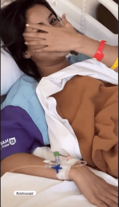 अभिनेत्री शेहनाज गिल अस्पताल में भर्ती हुईं 59043