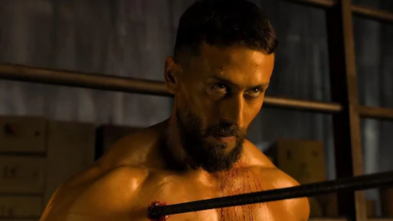 Baaghi 4 Box Office Collection Day 8: फिल्म ने पूरा किया 45.75 करोड़ का सफर