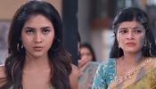 सरू सीरियल स्पॉइलर: अनिका ने हदें पार कीं, तारा पर कीचड़ उछाला - सरू उसे बचाने के लिए आगे आई