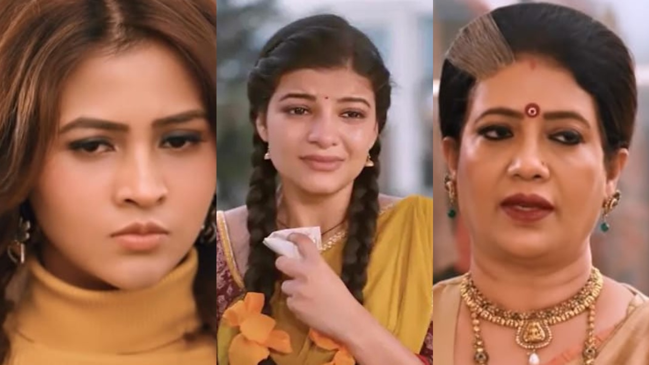 सरू सीरियल स्पॉइलर: अनिका ने चंदा को सरू के बारे में सचेत किया, अन्नपूर्णा की संपत्तियों को चंदा के नाम पर स्थानांतरित करने की साजिश रची