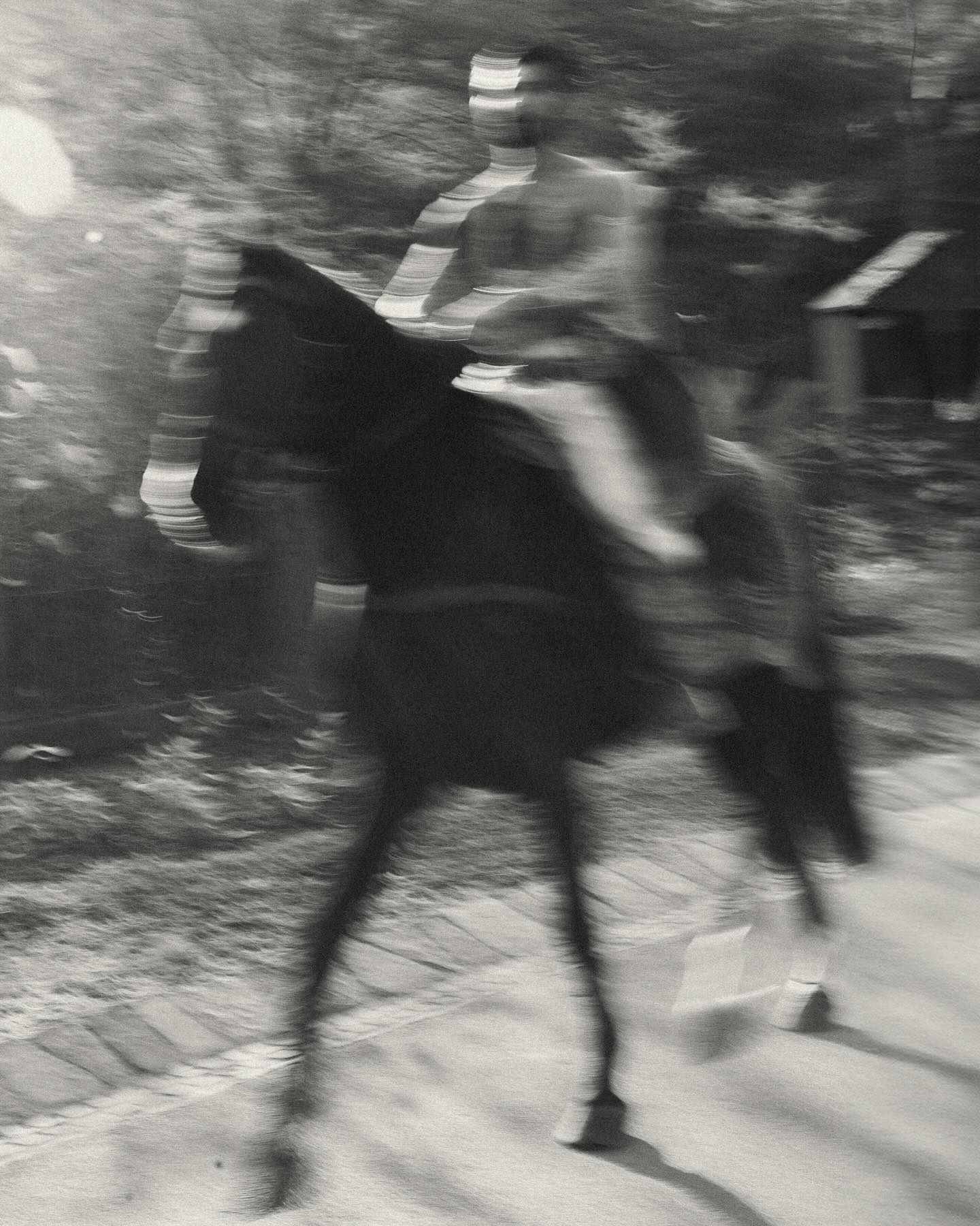 शादी के बाद रश्मिका मंदाना ने विजय देवरकोंडा के साथ पहली झलक साझा की, कहा, "मैं इस आदमी पर एक किताब लिख सकती हूं" 62438