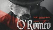 ओ' रोमियो बॉक्स ऑफिस कलेक्शन दिन 13: शाहिद कपूर की फिल्म का प्रदर्शन स्थिर बना हुआ है