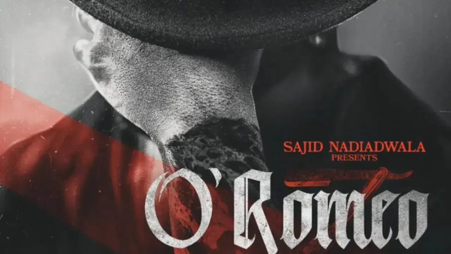 ओ’ रोमियो बॉक्स ऑफिस कलेक्शन दिन 13: शाहिद कपूर की फिल्म का प्रदर्शन स्थिर बना हुआ है