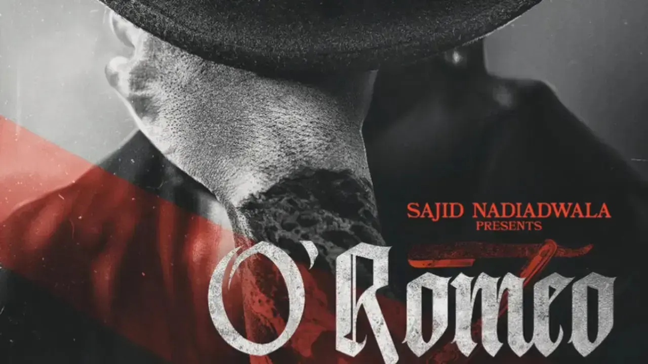 ओ' रोमियो बॉक्स ऑफिस कलेक्शन दिन 13: शाहिद कपूर की फिल्म का प्रदर्शन स्थिर बना हुआ है