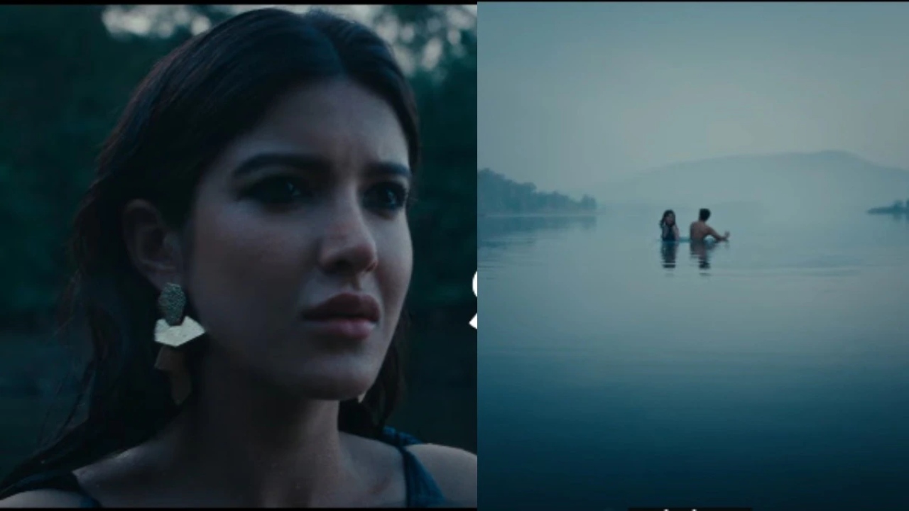 तू या मैं बॉक्स ऑफिस कलेक्शन - दिन 20