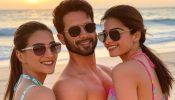 कॉकटेल 2 का बॉक्स ऑफिस कलेक्शन - दिन 7: शाहिद कपूर की फिल्म ने पहले सप्ताह में 122 करोड़ का आंकड़ा पार किया