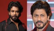 क्या इस दिसंबर बॉक्स ऑफ़िस पर नागार्जुन और शाहरुख़ ख़ान का टकराव होगा?