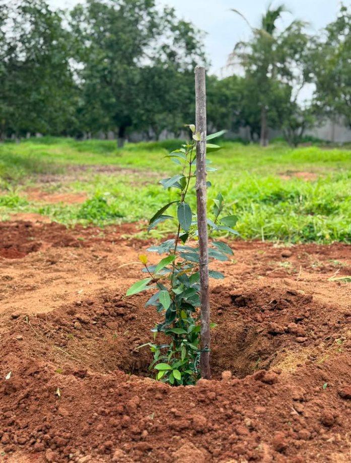जूनियर NTR ने सर्जरी के बाद अपनी पहली तस्वीर शेयर की, अपने प्यारे कुत्ते बघीरा के निधन पर दुख जताया। 64997