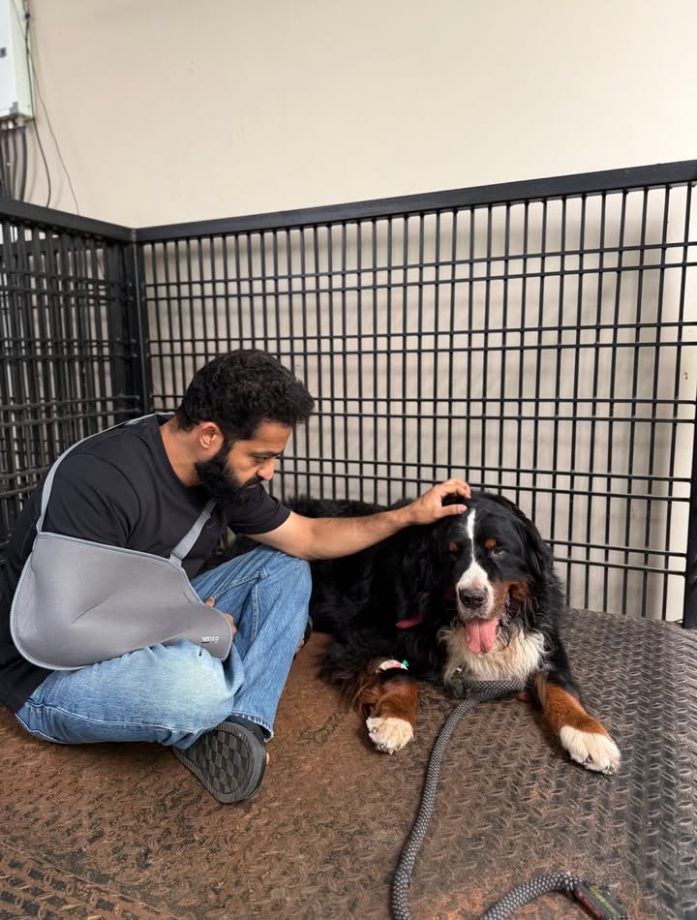 जूनियर NTR ने सर्जरी के बाद अपनी पहली तस्वीर शेयर की, अपने प्यारे कुत्ते बघीरा के निधन पर दुख जताया। 64998